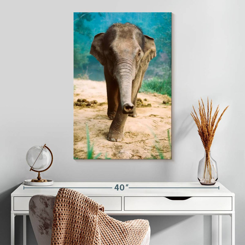Curieux bébé éléphant Brampt, H 30 po x l 20 po