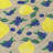 Machine Washable Indoor/Outdoor Chantille ACN2354 Fruits Rug-1827473381