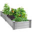 Boîte à fleurs surélevée en bois de sapin Cisbrough-220356619-237003555
