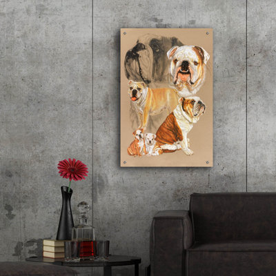 " English Bulldog " by Barbara Keith