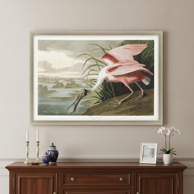 Roseate Spoonbill Silver Framed Print Wall Art