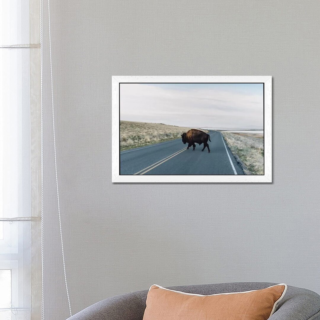 Leinwandbild Buffalo Bison von Chelsea Victoria