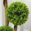 90cm Tree