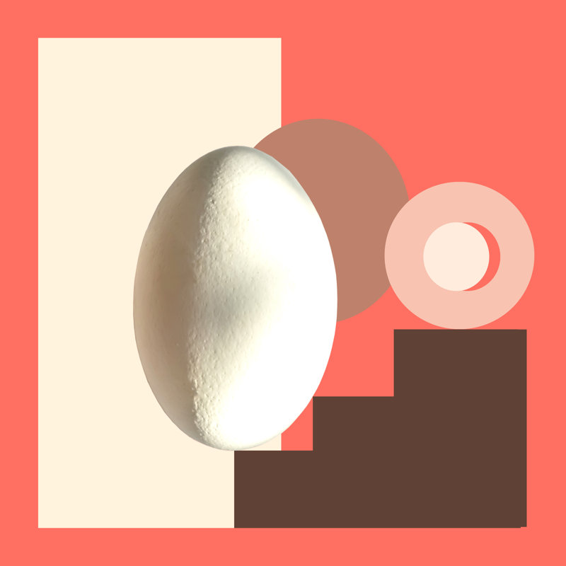 White Egg - Wrapped Canvas Print, 30cm H x 30cm W x 3.8cm D