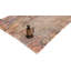 Oriental Area Rug in Beige