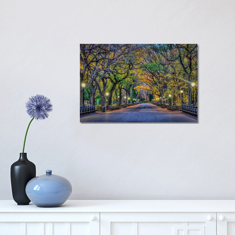 «Central Park Night» par David Gardiner - reproduction de photo, H 18 po x l 12 po x 1,5 po, Toile tendue, Pas de tapis