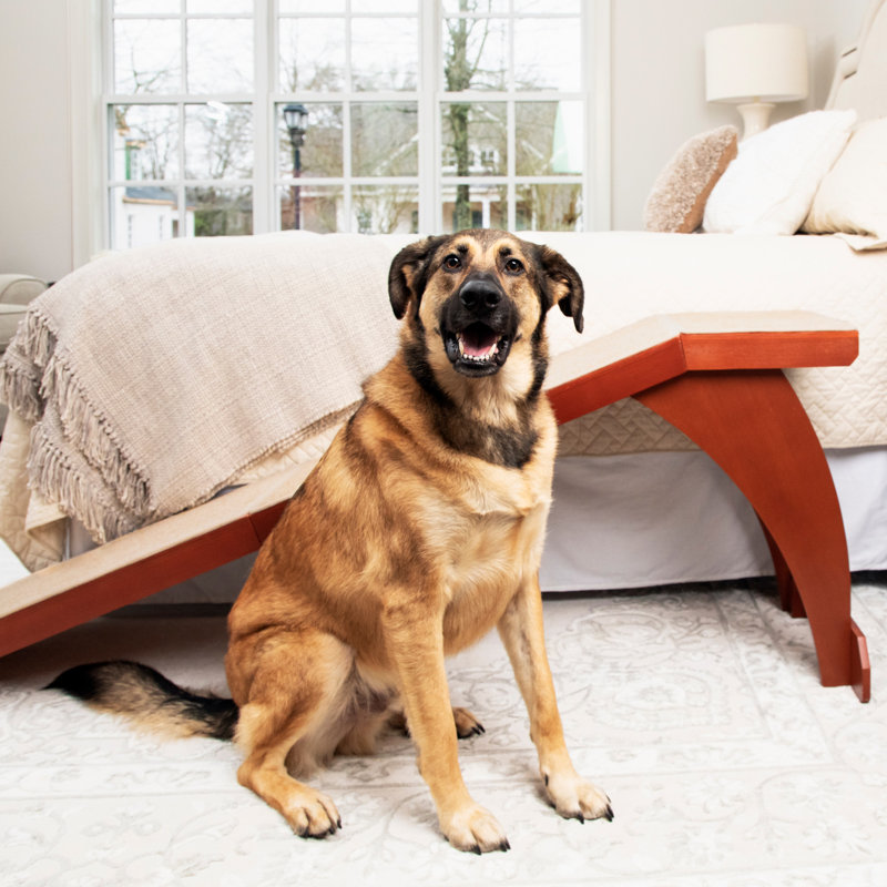 PetSafe® CozyUp™ Bed Ramp, Cherry