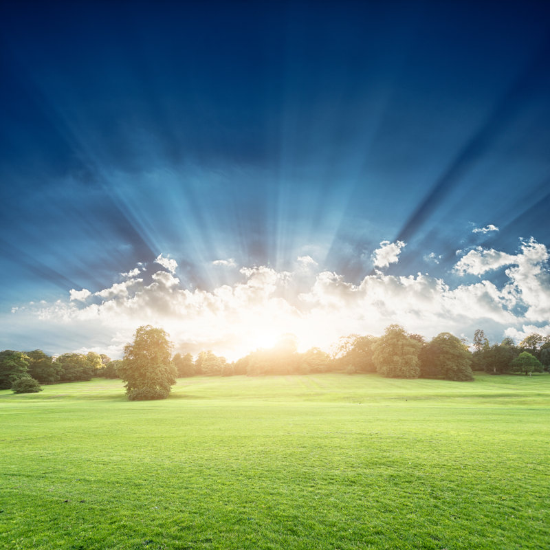 Summer Park on Derbyshire par Franckreporter, H 12 po x l 12 po