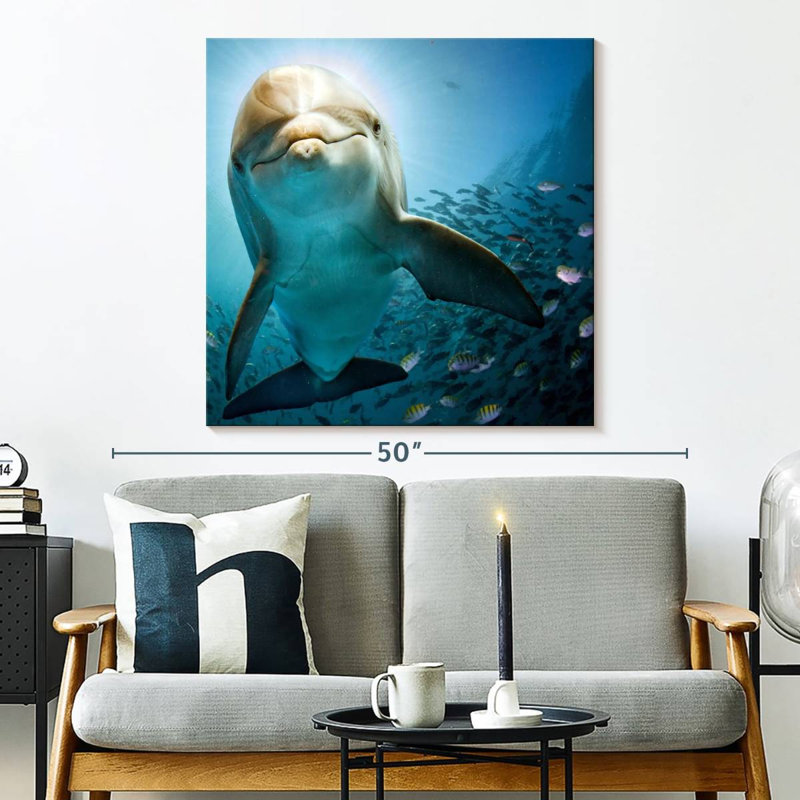 Brampt Curious Dolphin, 33" H x 33" W