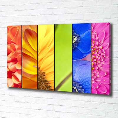 Colorful Flowers - Wrapped Canvas Print