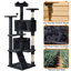 Cat Tree-101437452-105286891