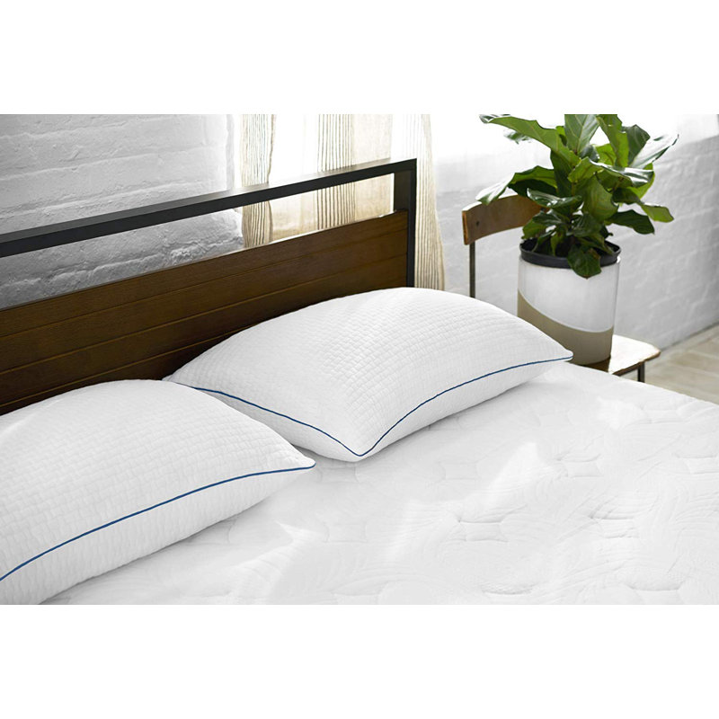 Standard White Gel Memory Foam Pillow Set with Polyester Cover