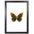 Black Grain Frame is unavailable
