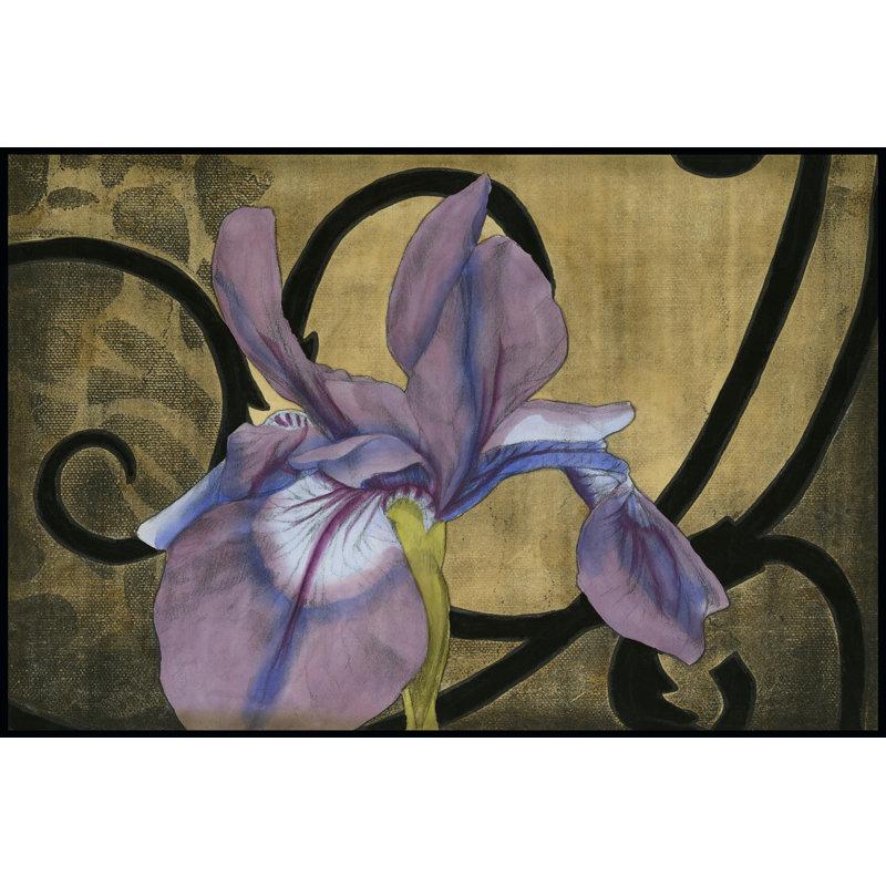 Iris And Scrolls I by Jennifer Goldberger - Wrapped Canvas Painting, 30cm H x 46cm W x 3.8cm D