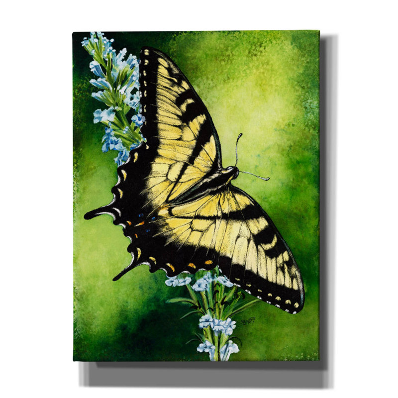 «Fragile Beauty On Canvas» par Barbara Keith, reproduction, H 16 po x l 12 po x P 0,75 po