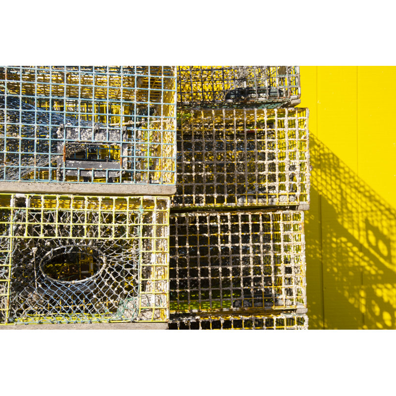 Coastal Trappings IV by Laura Denardo - Photograph, 81cm H x 122cm W, Black Floater Framed
