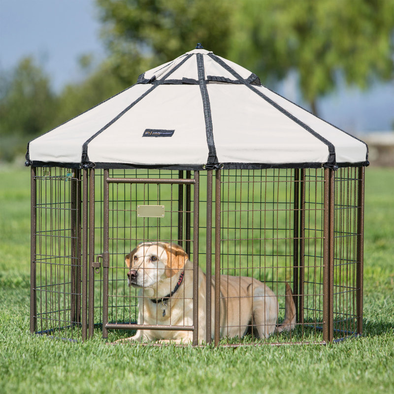Chenil pour chien modulaire et parc pour animaux avec auvent pour animal de compagnie - enclos intérieur, extérieur et portable, 4 pi
