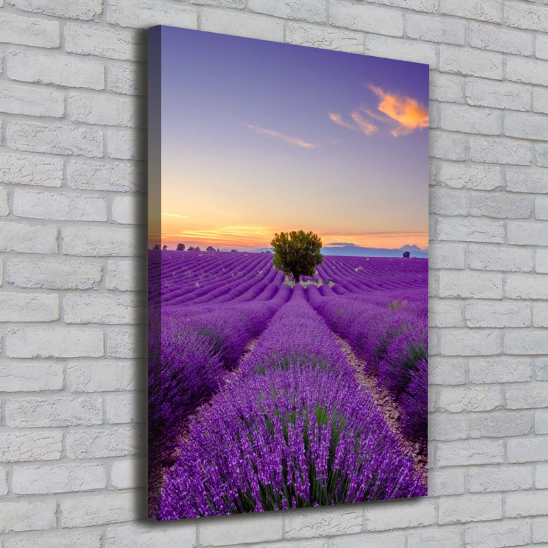 Lavender Field - Wrapped Canvas Print
