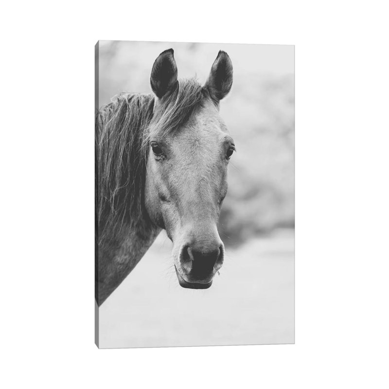 Wild Heart by Ann Hudec - Print on Canvas, Wrapped Canvas, 45.72cm H x 30.48cm W x 1.91cm D
