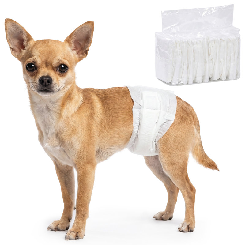 Dog Diaper
