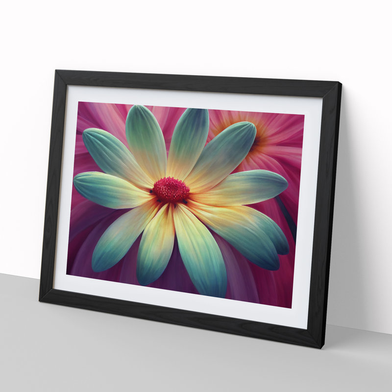 Lively Daisy Flower - Single Picture Frame Print, Black, 46cm H x 64cm W x 2cm D