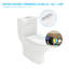 Toilette allongée une pièce à double chasse 1,6 / 1,1 gallons GPF au sol (siège inclus)