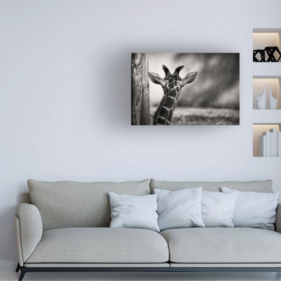 Art sur toile bolologien, Rolf Lampert