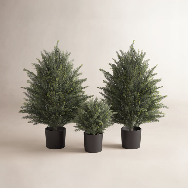 Cute Artificial  Cedar Potted Plant, 2, 25.2" H x 15.7" W x 15.7" D