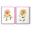 Impression encadrée Bright Botanical I-Premium - prête à être accrochée - aucun clou requis - aucun clou requis-1118922844-1118922843
