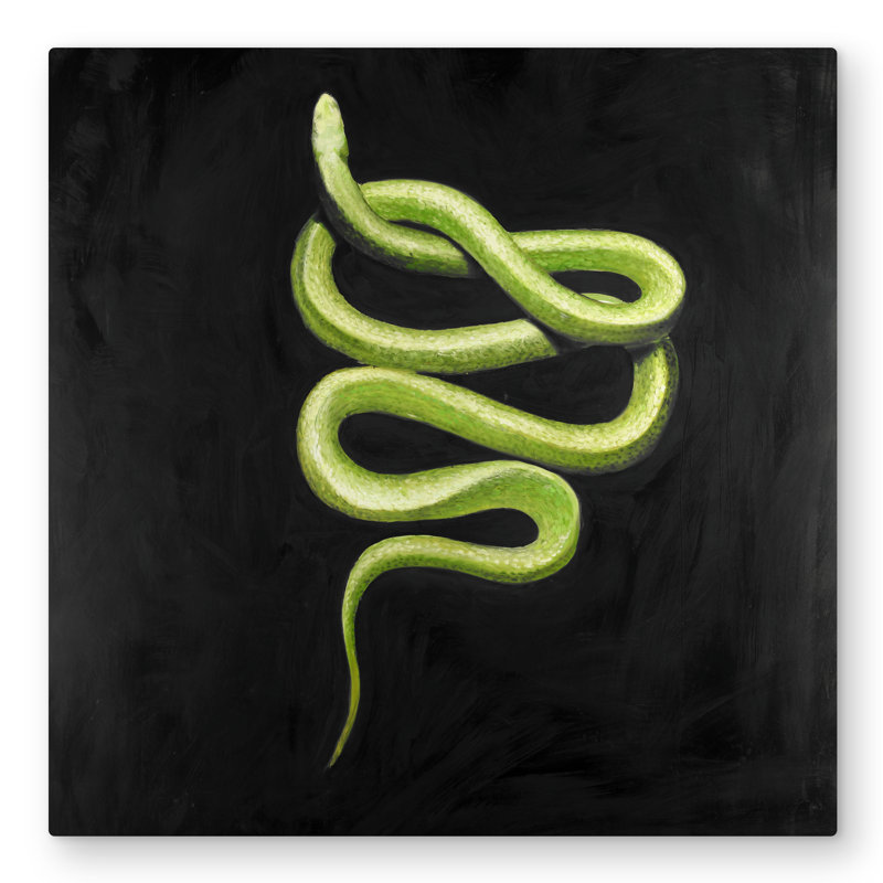 Green Snake - Wildlife Contemporary Metal Print for Home Decor