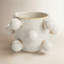 Jalonte Ceramic Pot Planter