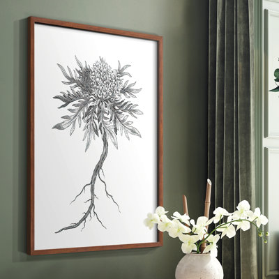«B&W Plant Spechantillon III», reproduction encadrée - bois massif