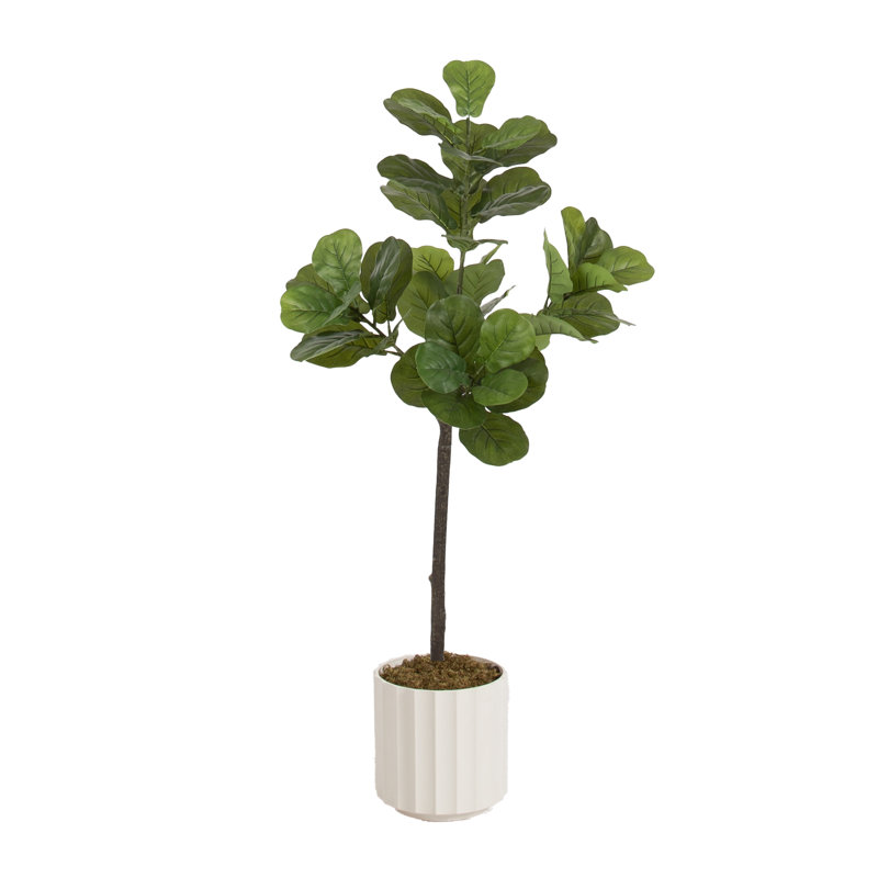 Pot à fleurs festonné avec figuier Arguelles, H 70,87 po x l 19,69 po x P 27,56 po, Crème