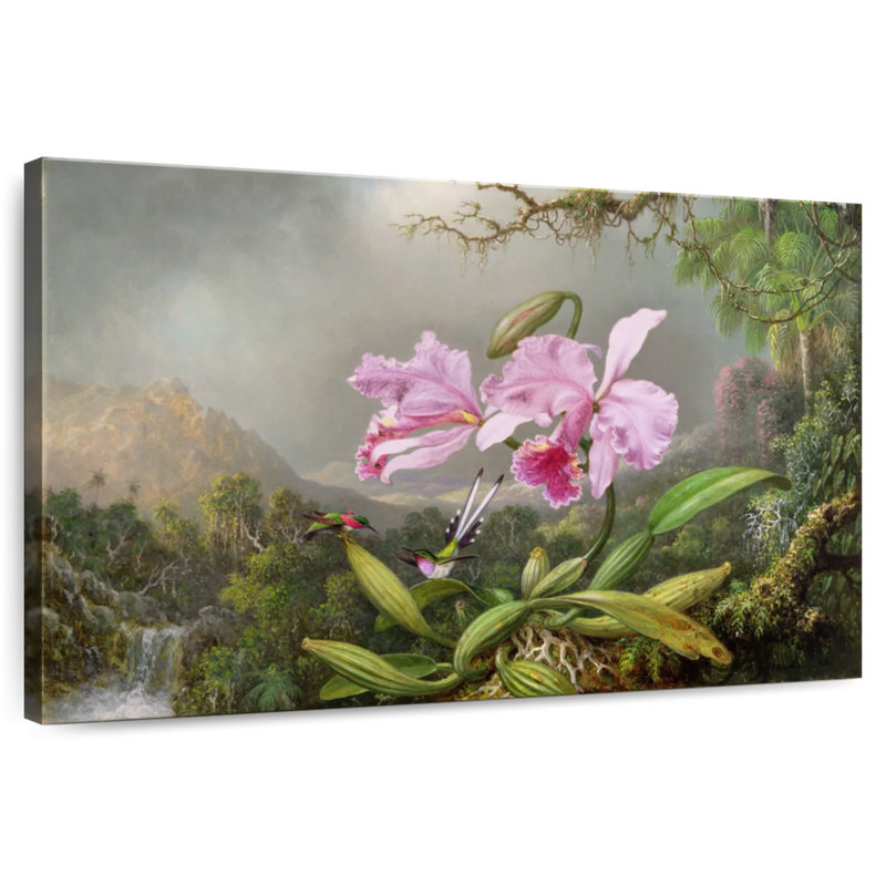 Étude d'une orchidée, H 34 po x l 51 po
