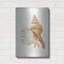 Highland Dunes «Floursack Nautical Shells 3» par Danhui Nai, art mural en métal-356887869