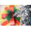6.89' H Lighted Artificial Christmas Tree
