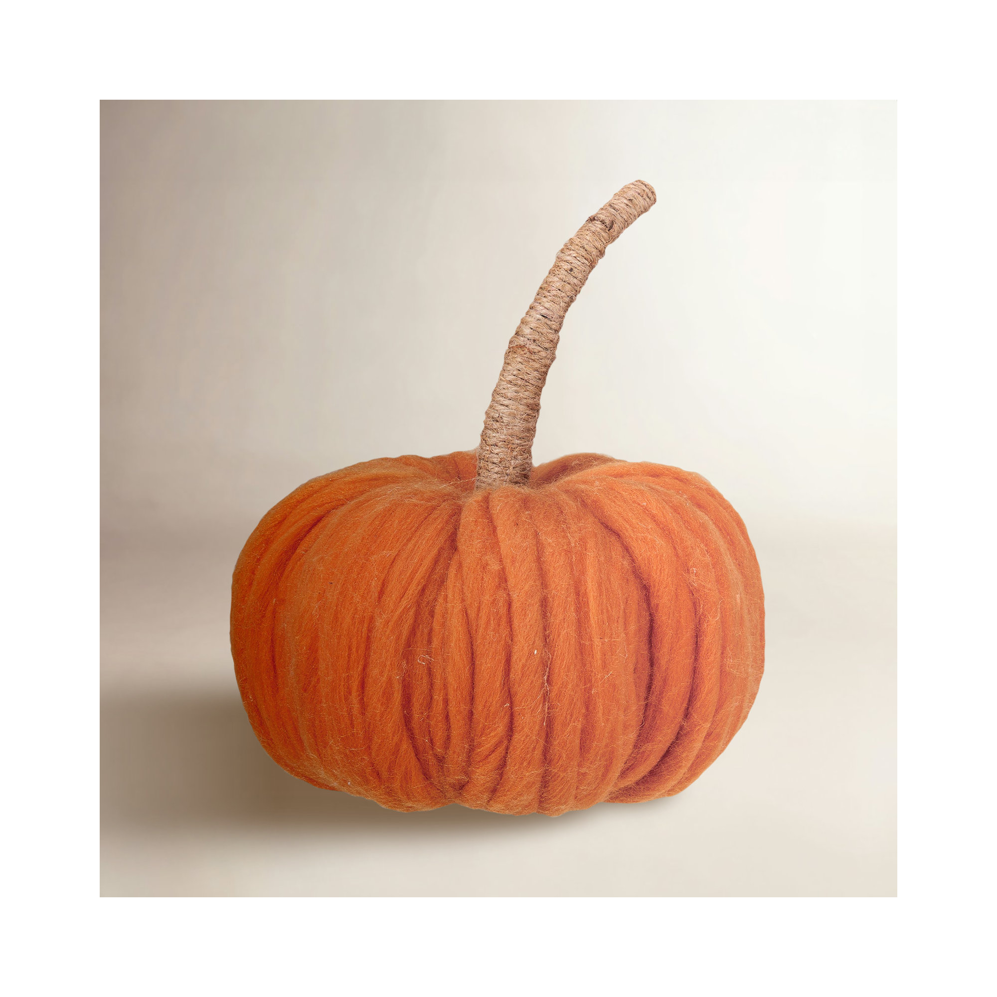 Wide Pumpkin With Wrapped Stem