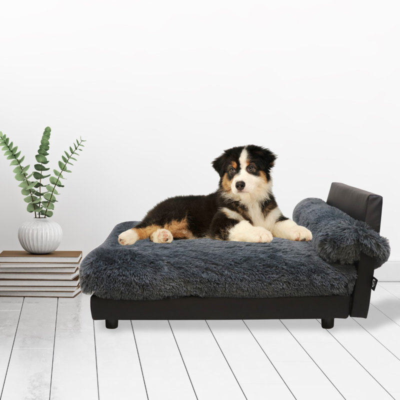 Lit orthopédique pour animaux Mid-Century, Grand (H 18 po x l 24 po x P 36 po), gris