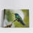 A Sparkling Violetear on a Branch-1510585881