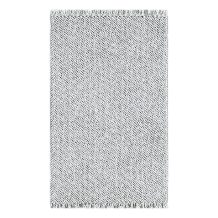 Textured Fringed Area Rug