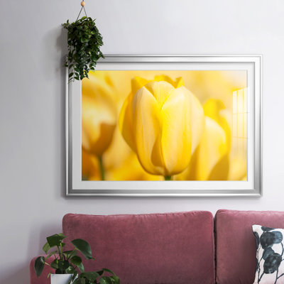 Sunshine Yellow II, reproduction encadrée sur papier