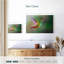 Colibri iridescent-107961409