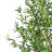 78'' Faux Bamboo Tree in Pot