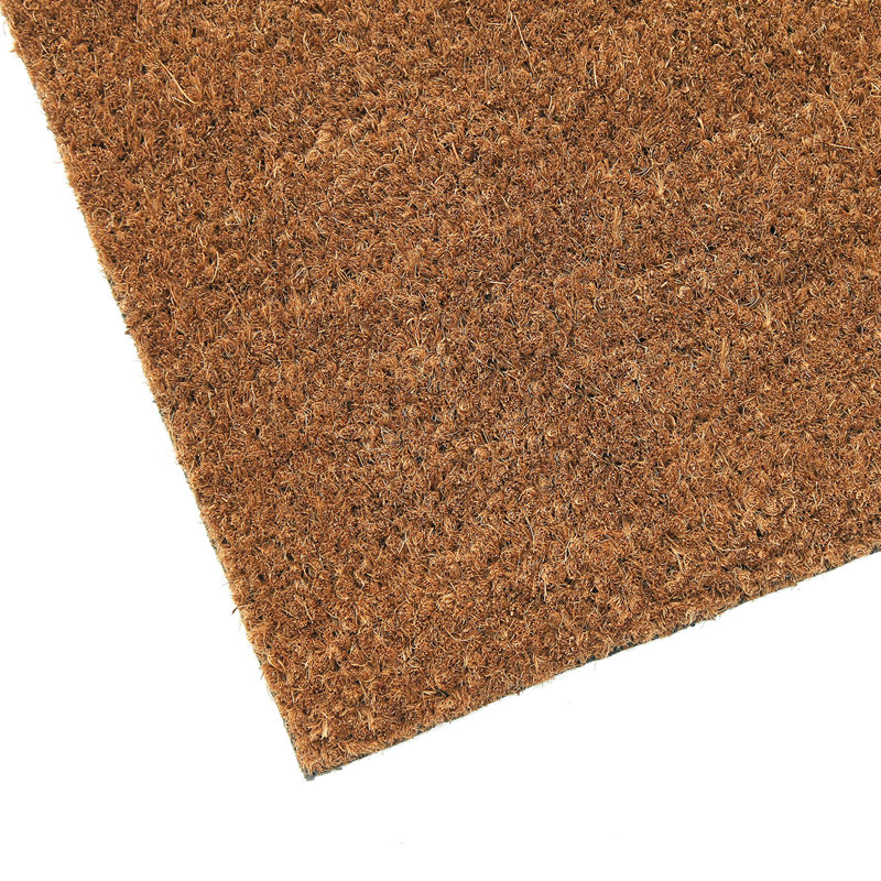 Pigott Indoor / Outdoor Doormat