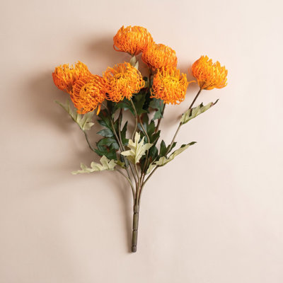 Protea Floral Stems
