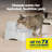 Drinkwell® Gallon Pet Fountain-46357427
