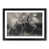 Black Framed selected