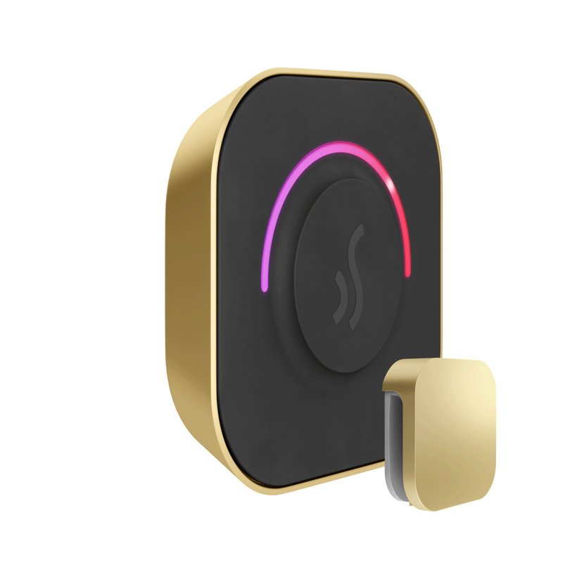 TempoTouch Steam Shower Control and Steamhead , Satin Brass