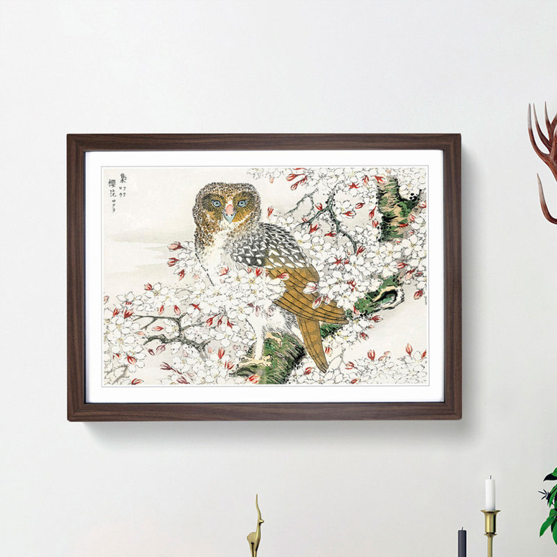 Short-Eared Owl & Cherry Flower by Numata Kashu - Picture Frame Painting Print, 50cm H x 76cm W x 2cm D, Walnut