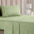 Olive clair est en rupture de stock